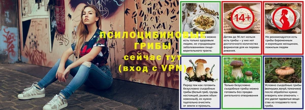 твердый Алзамай
