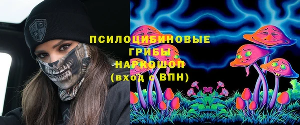 гидра Алексин
